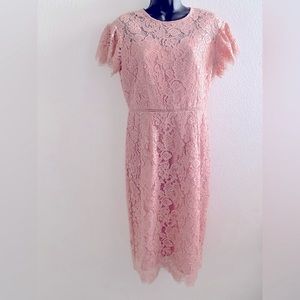 Gorgeous London Times Blush Dress Size 4 💕